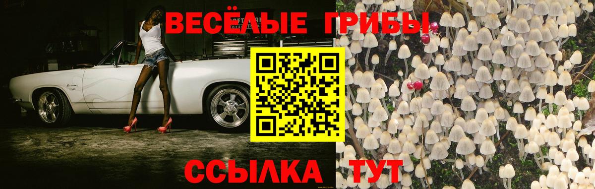 Галлюциногенные грибы Cubensis  Галлюциногенные грибы Magic Shrooms  Вход с VPN  Ивантеевка 